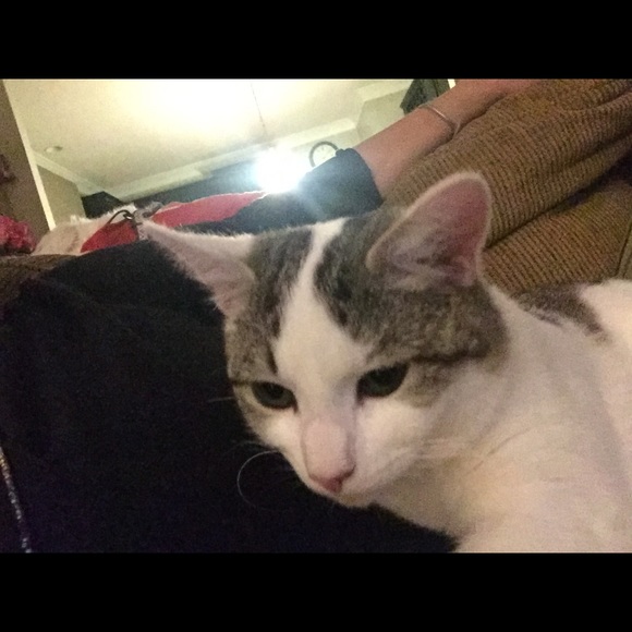 Meet your Posher, Cindy - Picture 1 of 1